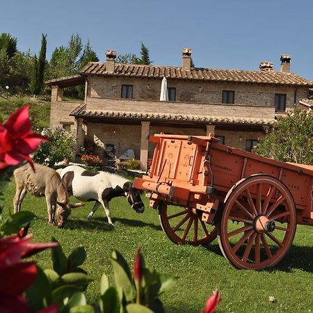 Farm Stay Il Carro Del Colle Collevalenza Exteriér fotografie