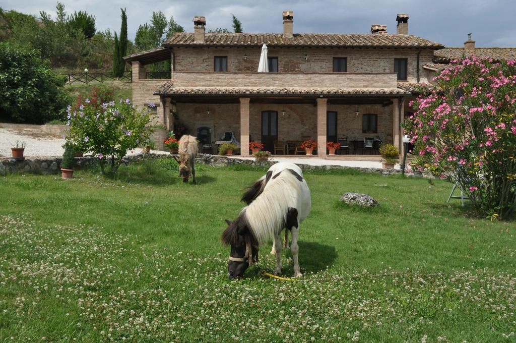 Farm Stay Il Carro Del Colle Collevalenza Exteriér fotografie