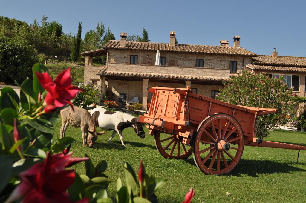 Farm Stay Il Carro Del Colle Collevalenza Exteriér fotografie